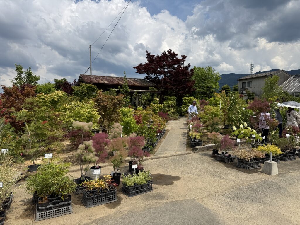 植栽を探しに、くるめ緑化センターへ。