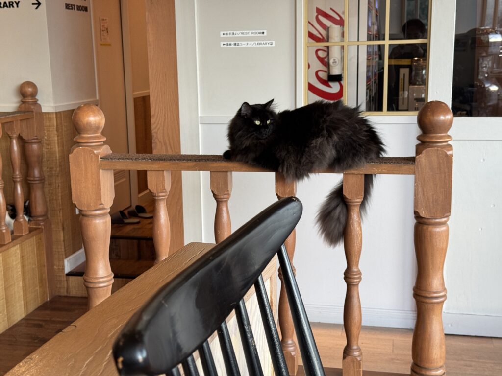 カーペット張りの手摺の上でくつろぐ黒猫